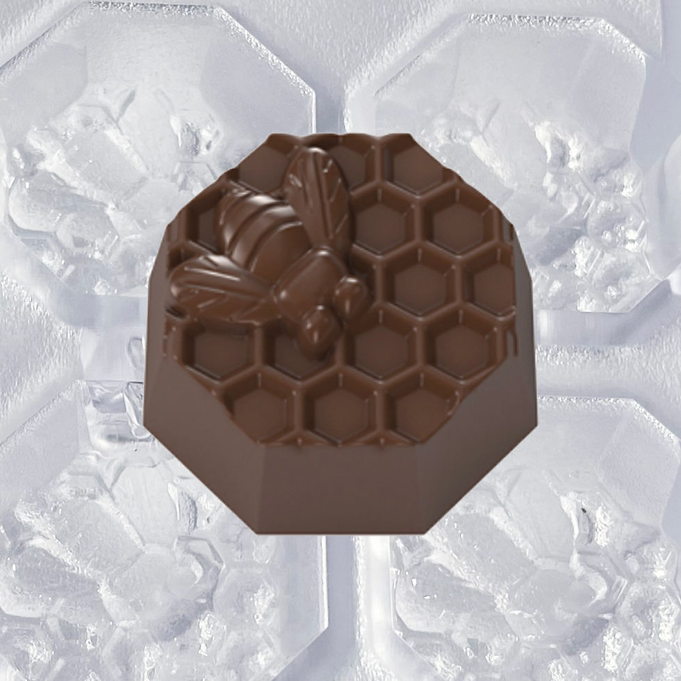 Profi Schokoladenform Nr. 670