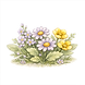 wildflower_mix.png