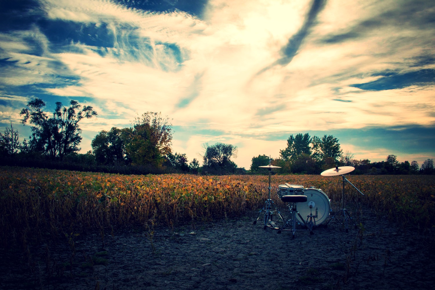Beans and Rice Music