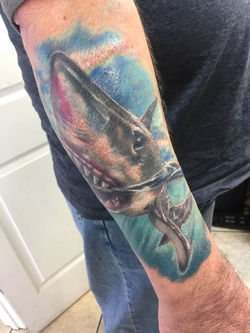 53830225_2234594076578801_5200269208549588992_n