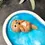 Thumbnail: Kawaii Sea Otter Trinket Tray Jewelry Dish/ Incense Holder