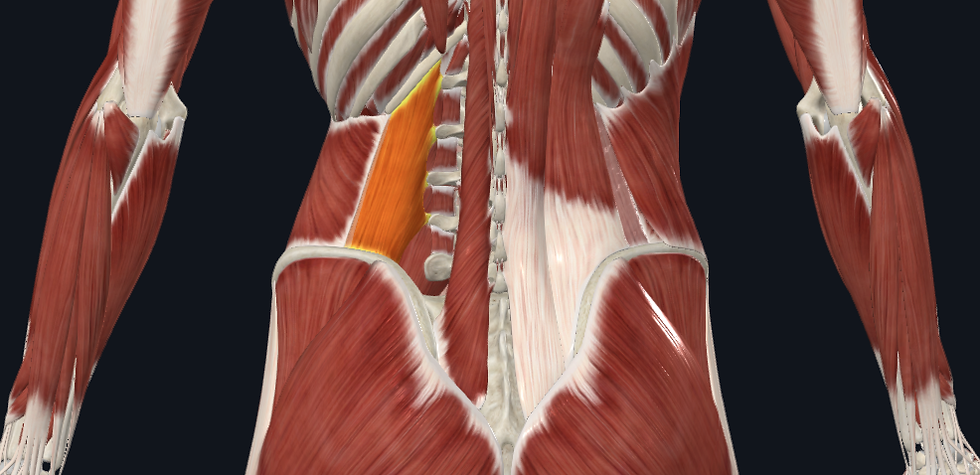 Eye-level view of a person stretching their lower back on a yoga mat