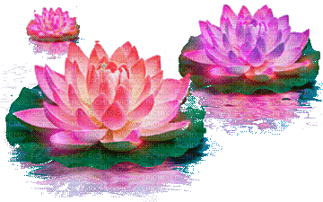 2251399_03ab2.gif