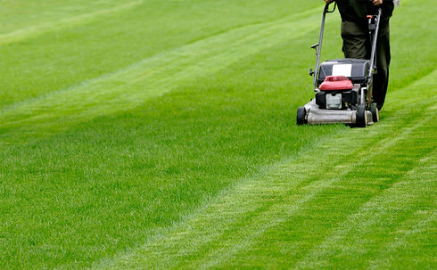 Lawn Service.jpg