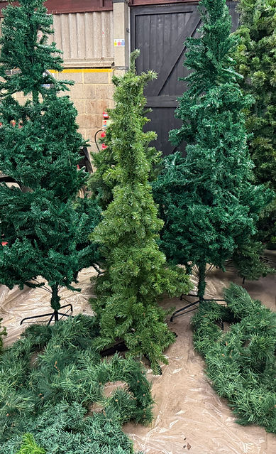 Christmas trees fireproofed for festive event