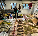 Dried Flowers - BS 5852 fire retardant treatment