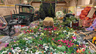 Do Venue Fire Officers Accept Fireproofed Artificial Plants?