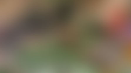 Do Venue Fire Officers Accept Fireproofed Artificial Plants?