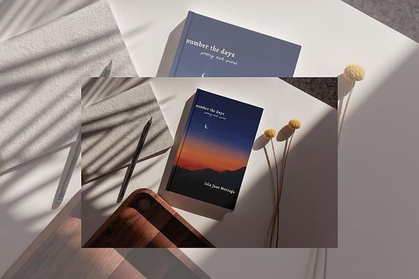 Copy of Number the Days canva mockups (4).png