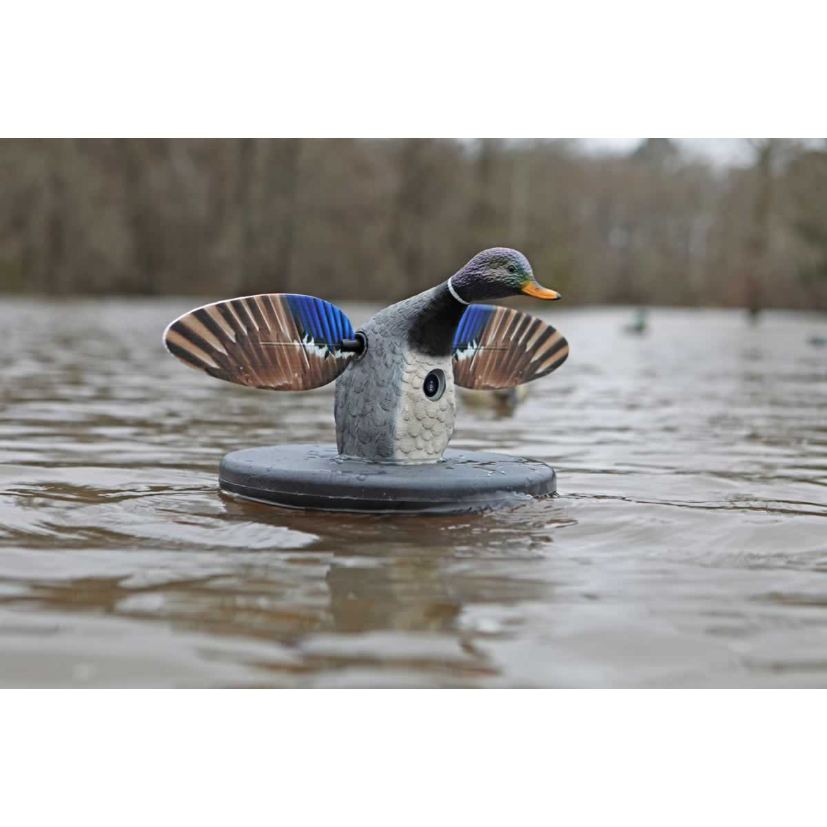MOJO Mallard Drake Floater Decoys