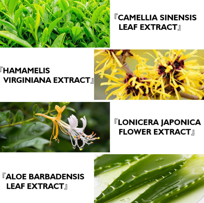 תמונה ממוזערת: קרם טיפולי לאקנה לריפוי פצעים וצלקות - VIBRANT GLAMOUR