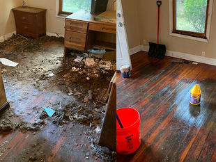 Top Cleaning Services Near London Ontario