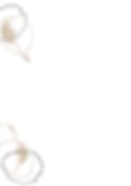 MUSE intestazione x sito web (21 × 29_edited_edited.jpg