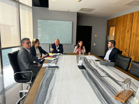 Sainz celebra el éxito de su webinar sobre energía