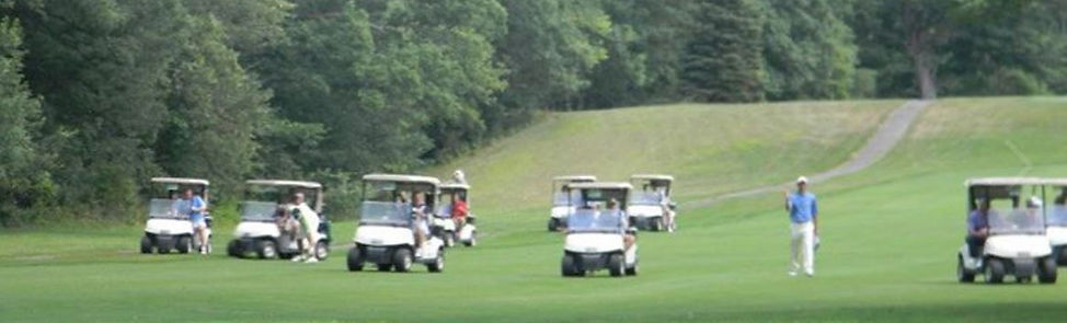 mem guest carts.JPG