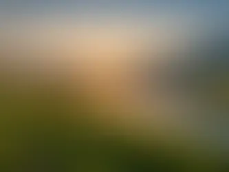 Finding Strength: Navigating Life After Adversity