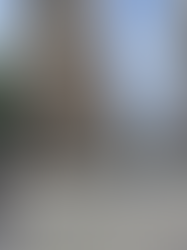 Letters to the Cities: Paris