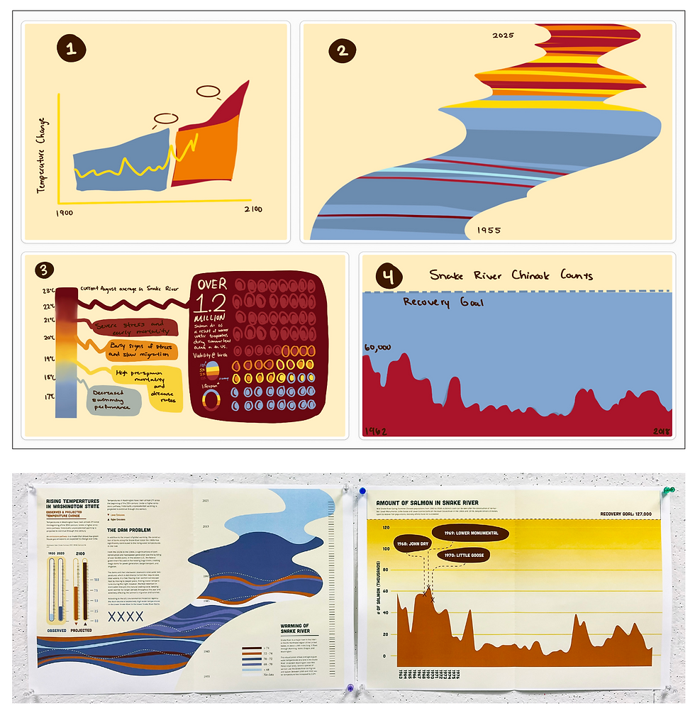 Data_Visualization_Drafting.png