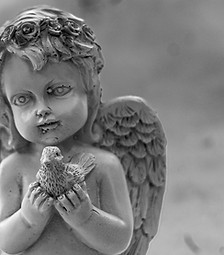 Snow Angel _edited.jpg