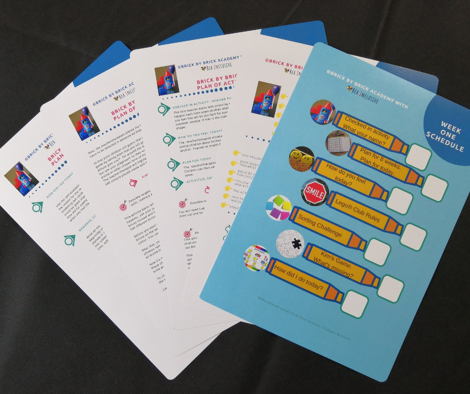 Thumbnail: Brick by Brick Programme Hard Copy