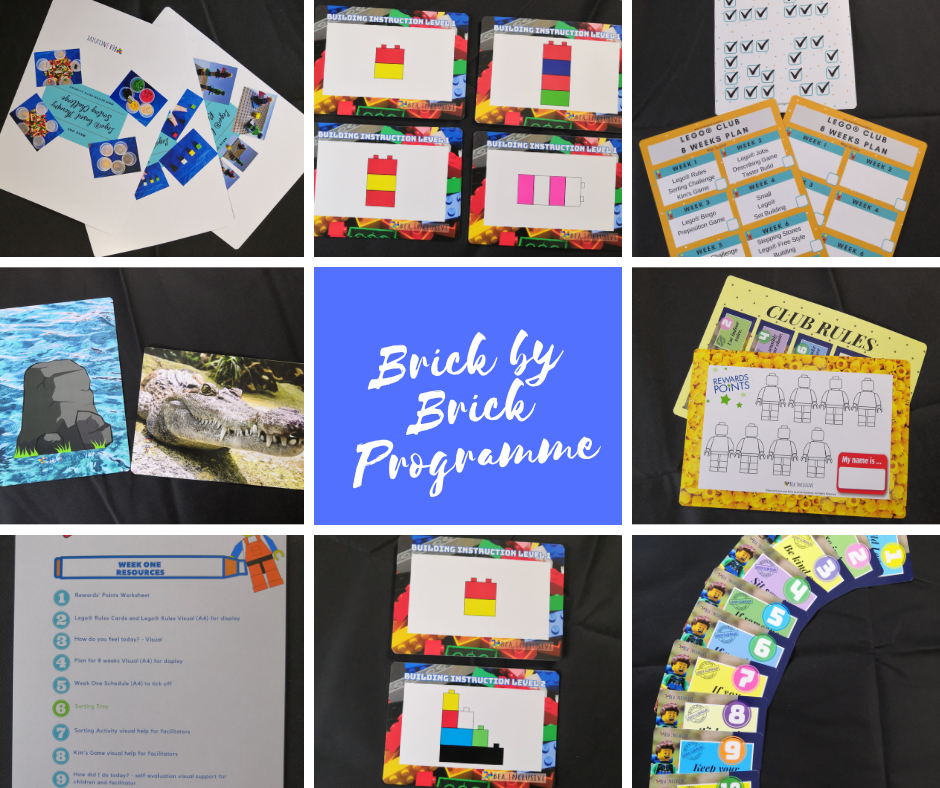 Thumbnail: Brick by Brick Programme Hard Copy