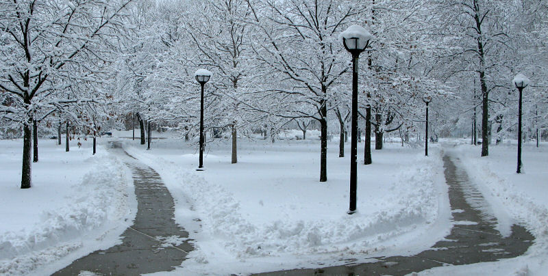 University of Michigan's Diag in the Winter