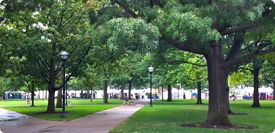 The University of Michigan's diag in the summer months