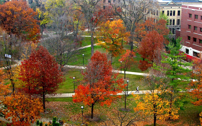 University of Michigan's Diag in the Fall
