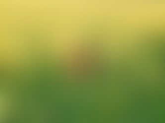 How to Stand Out from the Crowd