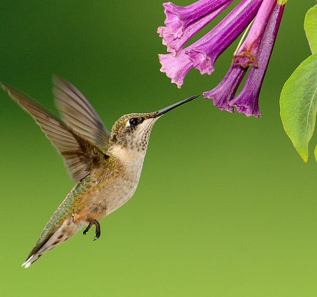 Ways to Stop Going From Paycheck to Paycheck