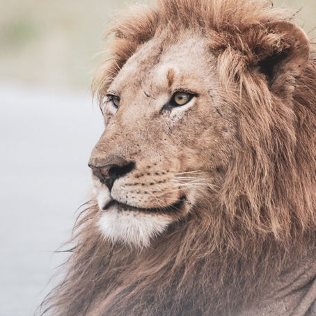 Most Effective Leaders Stay True to Themselves