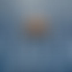 How to Decide What Needs Your Attention NOW