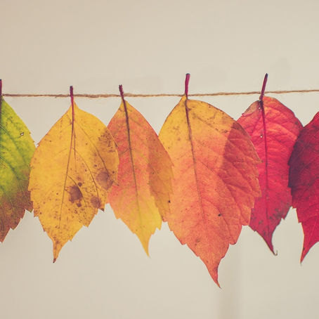 How to Have a Healthy Relationship with Change