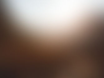 The Value of Persistence