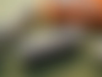 What is Market Risk?