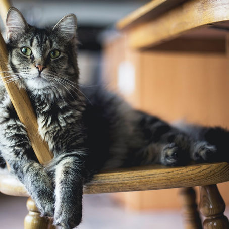 Are You Comfortable with Your Bad Habits?