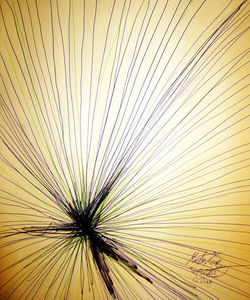 1015791_10151742229587328_654697525_o