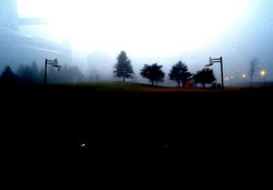 12196063_10153731464702328_7137447562939644868_n