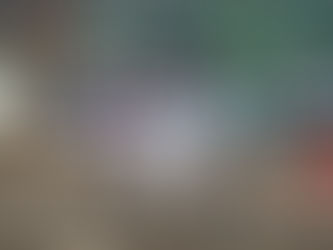 高円宮賜杯第46回全日本学童軟式野球マクドナルド・トーナメント静岡県予選大会三島支部予選が行われました。