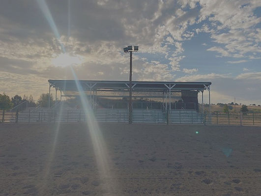 bleacher_edited.jpg