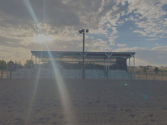 bleacher_edited.jpg