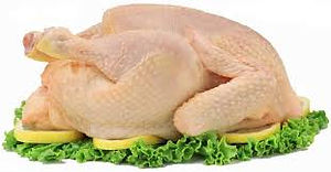 pollo.jpg