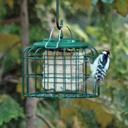 Squirrel Proof Bird Feeder Windowgardensdirect