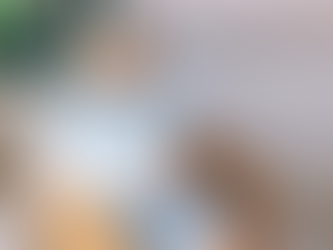 Personalized Real Estate Guidance in Arizona: Your Trusted Realtor