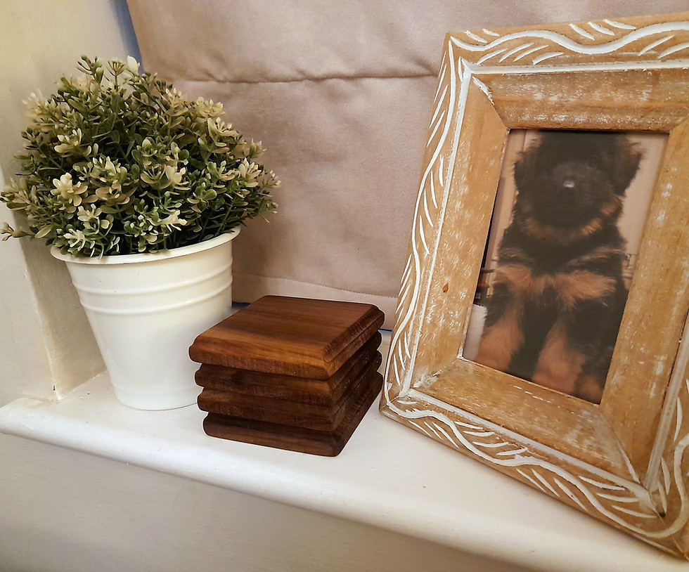Thumbnail: Tulip Coasters