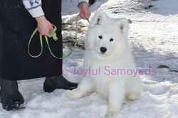 Snow Male 1 DSC_0117