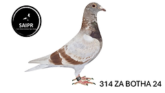 ZA-24-BOTHA-LOFTS-314-MZ-FOTO-removebg-preview.png
