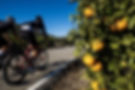 custoom cycling holiday