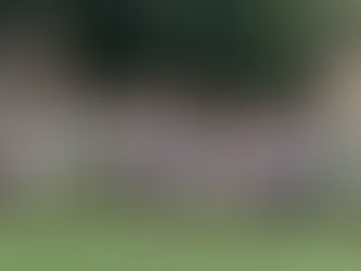 Year 4 are campaigning to save the planet as part of their 'Help Our Habitats' topic