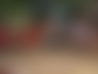 A Very Roman Christmas!